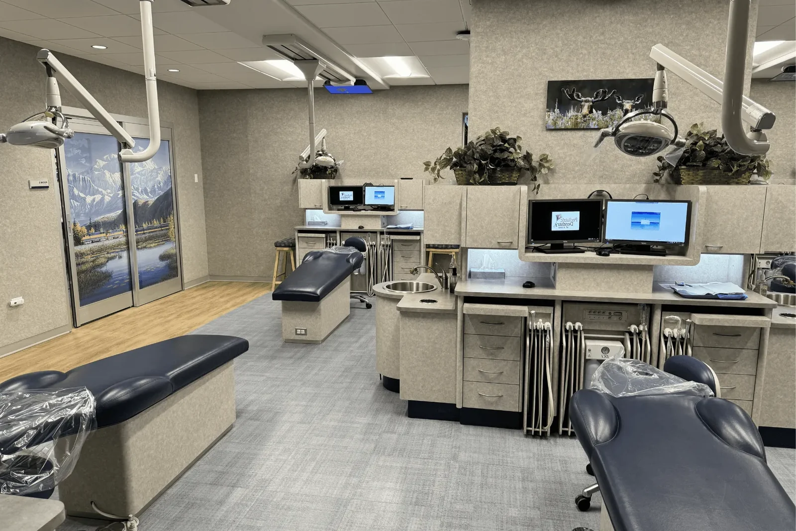 Pediatric dental operatory with treatment chair and mountain artwork.
